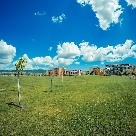 Golf Club 阳光海滩